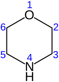 numbered skeletal formula of the morpholine molecule