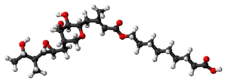 Ball-and-stick model of the pseudomonic acid A molecule, the principal component of mupirocin