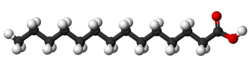 Ball-and-stick model of myristic acid