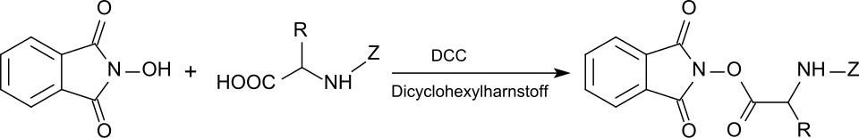 Conversion of the C-terminus of a peptide to an active ester of N-hydroxyphthalimide
