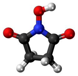 Ball-and-stick model of the N-hydroxysuccinimide molecule