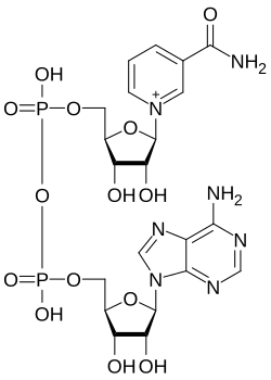 Skeletal formula of the oxidized form