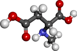 Ball and stick model of N-methyl-D-aspartic acid