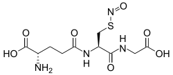 Stereo, skeletal formula of S-nitrosoglutathione