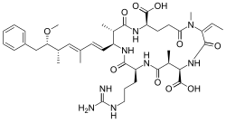 The 2d structure of the Nodularin-R peptide.