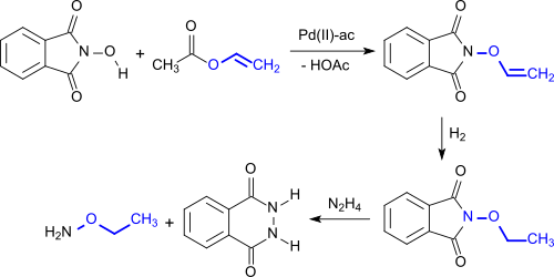 Synthesis of O-alkoxyamines via N-hydroxyphthalimides