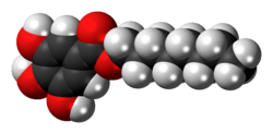 Space-filling model of the octyl gallate molecule