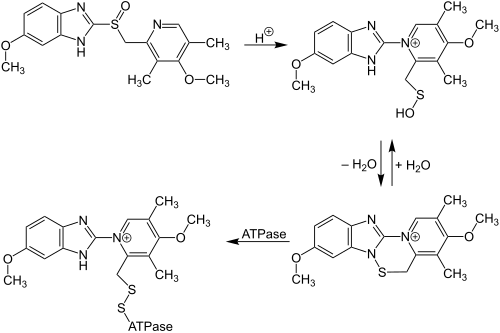 Omeprazol rearrangement in the body