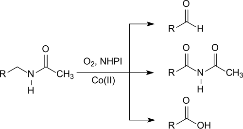 Oxidation of amides with N-hydroxyphthalimide