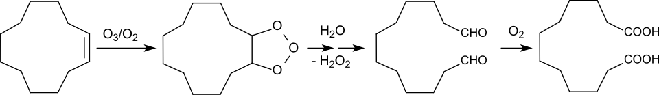 Ozonolysis of cyclododecene to dodecanedioic acid.