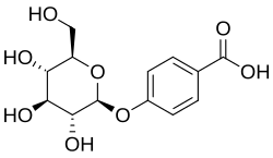 Chemical structure of p-hydoxybenzoic acid glucoside