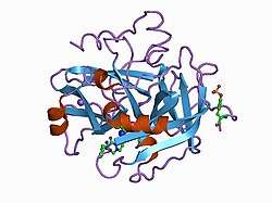 1a46: THROMBIN COMPLEXED WITH HIRUGEN AND A BETA-STRAND MIMETIC INHIBITOR