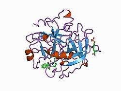 1aix: HUMAN ALPHA-THROMBIN TERNARY COMPLEX WITH EXOSITE INHIBITOR HIRUGEN AND ACTIVE SITE INHIBITOR PHCH2OCO-D-DPA-PRO-BOROVAL