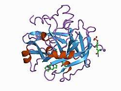1b5g: HUMAN THROMBIN COMPLEXED WITH NOVEL SYNTHETIC PEPTIDE MIMETIC INHIBITOR AND HIRUGEN