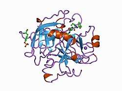 1bb0: THROMBIN INHIBITORS WITH RIGID TRIPEPTIDYL ALDEHYDES