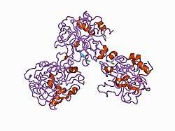 1bbr: THE STRUCTURE OF RESIDUES 7-16 OF THE A ALPHA CHAIN OF HUMAN FIBRINOGEN BOUND TO BOVINE THROMBIN AT 2.3 ANGSTROMS RESOLUTION