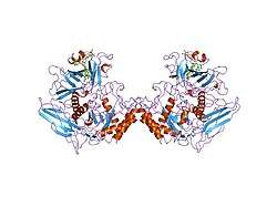 1bhg: HUMAN BETA-GLUCURONIDASE AT 2.6 A RESOLUTION