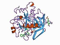 1c4v: SELECTIVE NON ELECTROPHILIC THROMBIN INHIBITORS WITH CYCLOHEXYL MOIETIES.