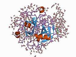 1c5o: STRUCTURAL BASIS FOR SELECTIVITY OF A SMALL MOLECULE, S1-BINDING, SUB-MICROMOLAR INHIBITOR OF UROKINASE TYPE PLASMINOGEN ACTIVATOR