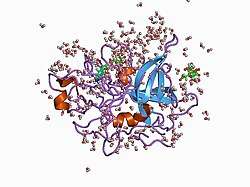 1c5w: STRUCTURAL BASIS FOR SELECTIVITY OF A SMALL MOLECULE, S1-BINDING, SUB-MICROMOLAR INHIBITOR OF UROKINASE TYPE PLASMINOGEN ACTIVATOR