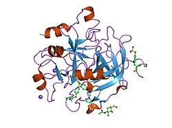 1d3q: CRYSTAL STRUCTURE OF HUMAN ALPHA THROMBIN IN COMPLEX WITH BENZO[B]THIOPHENE INHIBITOR 2