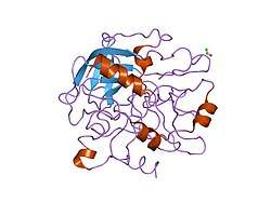 1dm4: SER195ALA MUTANT OF HUMAN THROMBIN COMPLEXED WITH FIBRINOPEPTIDE A (7-16)
