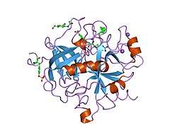1doj: Crystal structure of human alpha-thrombin*RWJ-51438 complex at 1.7 A