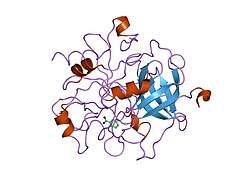 1dwb: CRYSTALLOGRAPHIC ANALYSIS AT 3.0-ANGSTROMS RESOLUTION OF THE BINDING TO HUMAN THROMBIN OF FOUR ACTIVE SITE-DIRECTED INHIBITORS
