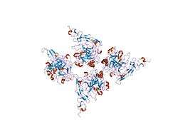 1dx5: CRYSTAL STRUCTURE OF THE THROMBIN-THROMBOMODULIN COMPLEX