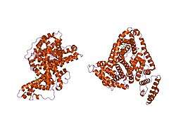 1e7b: CRYSTAL STRUCTURE OF HUMAN SERUM ALBUMIN COMPLEXED WITH THE GENERAL ANESTHETIC HALOTHANE