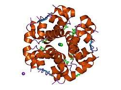 1ev6: Structure of the monoclinic form of the M-cresol/insulin R6 hexamer