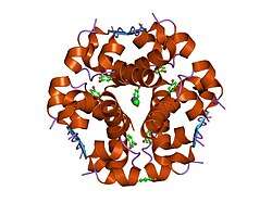 1evr: The structure of the resorcinol/insulin R6 hexamer