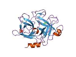 1f5k: UROKINASE PLASMINOGEN ACTIVATOR B-CHAIN-BENZAMIDINE COMPLEX
