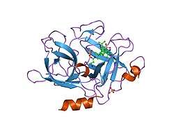 1f92: UROKINASE PLASMINOGEN ACTIVATOR B CHAIN-UKI-1D COMPLEX