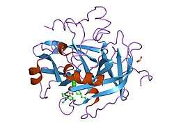 1fpc: ACTIVE SITE MIMETIC INHIBITION OF THROMBIN