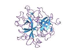 1fph: THE INTERACTION OF THROMBIN WITH FIBRINOGEN: A STRUCTURAL BASIS FOR ITS SPECIFICITY