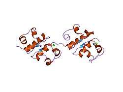 1fu2: FIRST PROTEIN STRUCTURE DETERMINED FROM X-RAY POWDER DIFFRACTION DATA