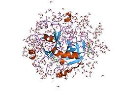1ghv: A NOVEL SERINE PROTEASE INHIBITION MOTIF INVOLVING A MULTI-CENTERED SHORT HYDROGEN BONDING NETWORK AT THE ACTIVE SITE