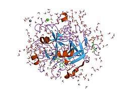 1ghy: A NOVEL SERINE PROTEASE INHIBITION MOTIF INVOLVING A MULTI-CENTERED SHORT HYDROGEN BONDING NETWORK AT THE ACTIVE SITE