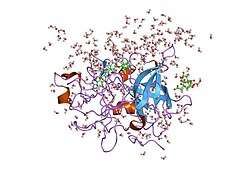 1gj9: ENGINEERING INHIBITORS HIGHLY SELECTIVE FOR THE S1 SITES OF SER190 TRYPSIN-LIKE SERINE PROTEASE DRUG TARGETS