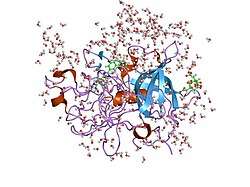 1gjb: ENGINEERING INHIBITORS HIGHLY SELECTIVE FOR THE S1 SITES OF SER190 TRYPSIN-LIKE SERINE PROTEASE DRUG TARGETS