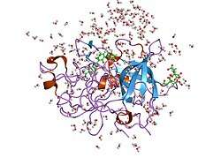 1gjc: ENGINEERING INHIBITORS HIGHLY SELECTIVE FOR THE S1 SITES OF SER190 TRYPSIN-LIKE SERINE PROTEASE DRUG TARGETS