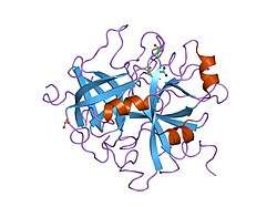 1hdt: STRUCTURE OF A RETRO-BINDING PEPTIDE INHIBITOR COMPLEXED WITH HUMAN ALPHA-THROMBIN
