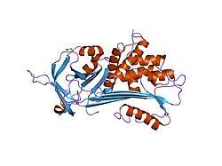 1hp7: A 2.1 ANGSTROM STRUCTURE OF AN UNCLEAVED ALPHA-1-ANTITRYPSIN SHOWS VARIABILITY OF THE REACTIVE CENTER AND OTHER LOOPS