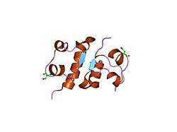 1j73: Crystal structure of an unstable insulin analog with native activity.