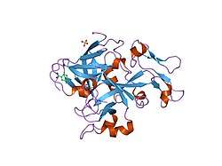 1jbu: Coagulation Factor VII Zymogen (EGF2/Protease) in Complex with Inhibitory Exosite Peptide A-183