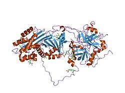 1jmo: Crystal Structure of the Heparin Cofactor II-S195A Thrombin Complex