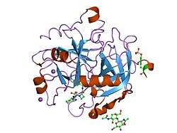 1k22: HUMAN THROMBIN-INHIBITOR COMPLEX
