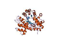 1krm: Crystal structure of bovine adenosine deaminase complexed with 6-hydroxyl-1,6-dihydropurine riboside