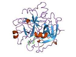 1lhd: HUMAN ALPHA-THROMBIN COMPLEXED WITH AC-(D)PHE-PRO-BOROLYS-OH